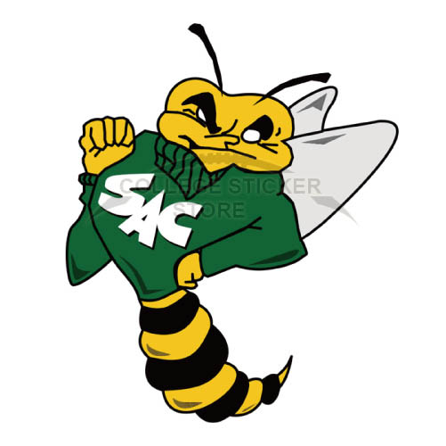 Customs Sacramento State Hornets Iron-on Transfers (Wall Stickers)NO.4207